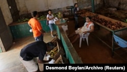 Los alimentos cuyos precios serán topados serán las viandas y hortalizas, las frutas, los granos y el arroz, informaron las autoridades. (REUTERS/Desmond Boylan/Archivo)