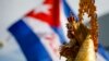 Caridad del Cobre en las calles de Miami en apoyo a manifestantes en Cuba 14N