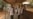 16x9 Image