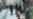 Autor de atentado terrorista en Estrasburgo permanece prófugo (Video)