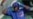 Lesionado el pelotero cubano Jorge Soler